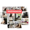 Cat Window Hammock Suction Cup Detachable Washable Comfortable Window Mounted