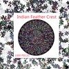 Bgraamiens Puzzle-The Indian Feather-1000 Pieces Round Puzzle Color Challenge Jigsaw