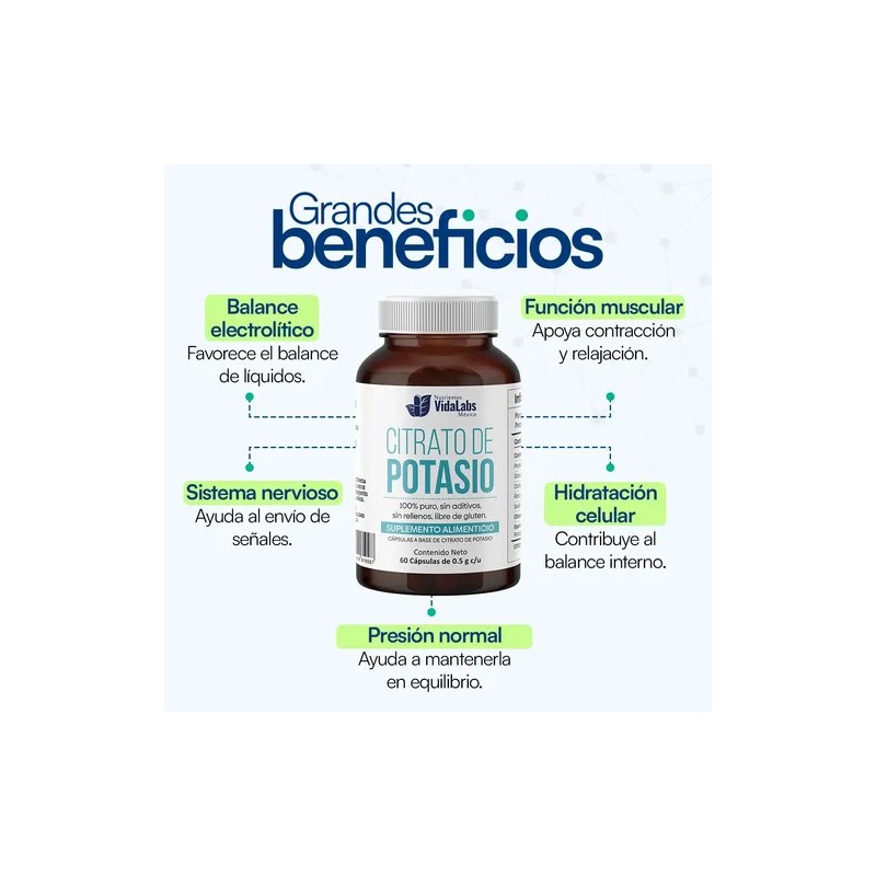 Pack Magnesio Potasio Nutrientes Vidalabs México Cápsulas