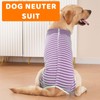 LOMSUXA Dog Bodysuit After Surgery Dog Body Operation Male Dog