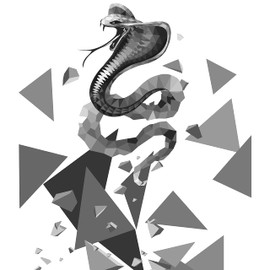 HUGE SPORTS Wildling Series UV Protection Quick Dry Compression Rash Guard for Men Cobra 2XL