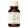 Skinfood Pantothenic Water Parsley Smashing Powder, 15ml, 1 piece / 스킨푸드 판토테닉 워터 파슬리 스매싱 파우더, 15ml, 1개