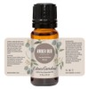 Edens Garden Amber Oud Limited Edition Spring Essential Oil Synergy