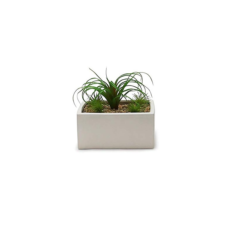WGV Block Ceramic Vase, Width 8", Height 4", Elegant Morden