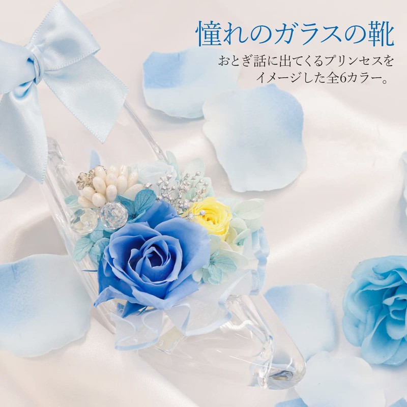 Natural Diamond Powder with puriza-budohurawa-・purinsesu Shoe