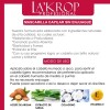 Shampoo Sin Sal Mascarilla Capilar Y Serum