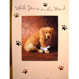 Braille Embossed Get Well Greeting Card - Adorable Lab Puppy with a Bandage