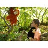 Keel Toys 25cm Keeleco Orangutan