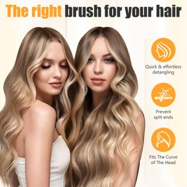 Journeyside Hair Brush Hair Styling Brush, Professional Detangling Brush for Men and Women, Gives Hair Volume, Gives Shine and Massages the Scalp, for Long Fine Thick Curly Hair