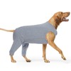 Dog Post Surgery Body Suit, Operation Recovery Suit Female Dog