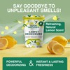 Good Natured Brand | Carpet Deodorizer & Freshener Powder |
