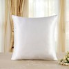 townssilk Both Side 100% 19mm Silk Pillowcase 65x65cm Pillow Case
