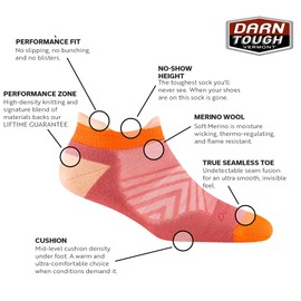 Darn Tough Women's Run No Show Tab Ultra-Lightweight Running Sock (Style 1047) - Canyon, Medium