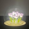 Hplvetoys 20 Tulips,Tulip Night Light LED Decoration Lamp,Glass Artificial Flower