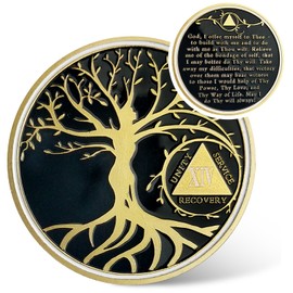 14 Year Sobriety Coin - Gold Tree of Life AA Coins - Recover Na AA Chips and Medallions - 1-40 Prime Living Clean Sobriety Chip Token - Narcotics Alcoholics Anonymous Gifts for Men Women