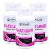 Kit 3 Frascos De Shatavari - 60 Cápsulas 600 Mg