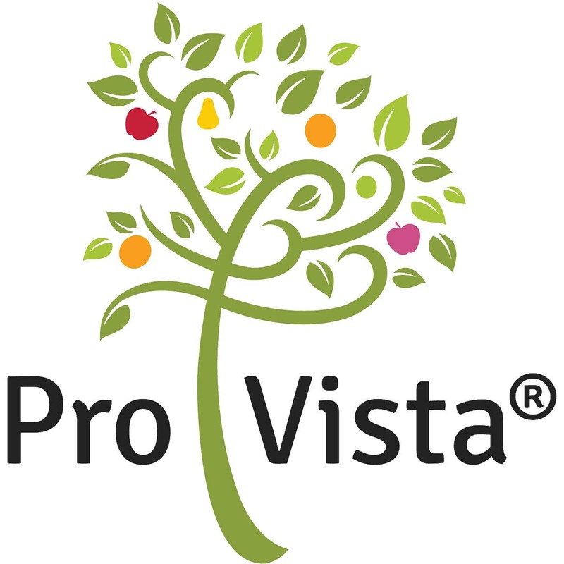 Provista Lecithin Powder - Lecithin Granules Pure - 2 x
