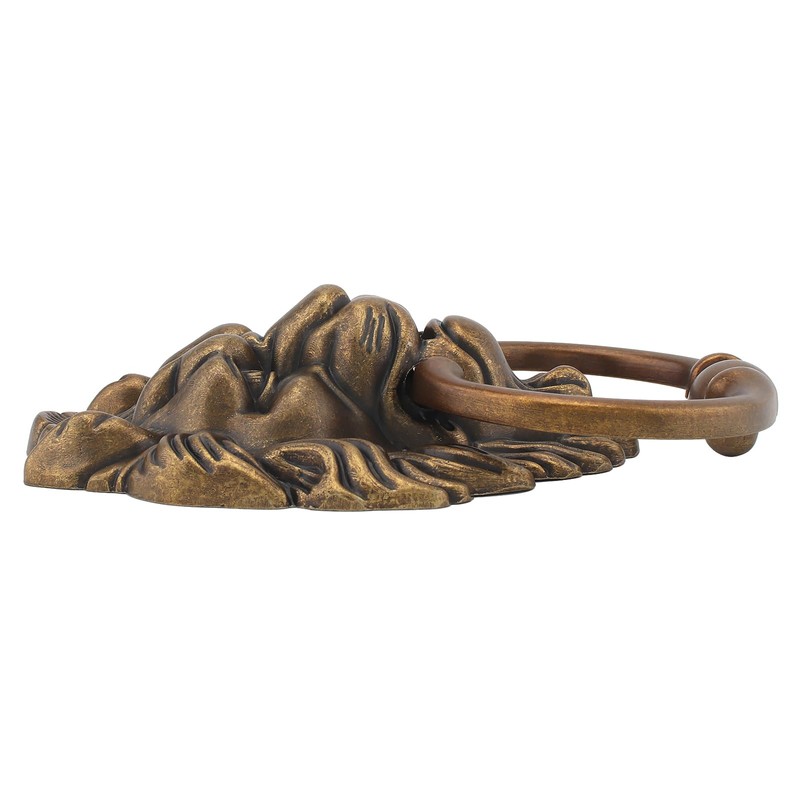 HOJLKLD 156 mm/6 Inch Lion Head Knocker, Classical Decorative Front