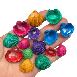 PEPPERLONELY 4 OZ Dyed Assorted Colors Clam Sea Shells, 1/2 Inch ~ 1 Inch