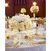 NUPTIO Tealight Candle Holders Glass: Set of 3 Long Stemmed