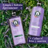 Herbal Essences Acondicionador Antifrizz Lavanda & Aceite de Almendras 600