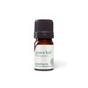 Aromatics International Guava Leaf Essential Oil 5ml