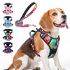 BEAUTYZOO No Pull Dog Harness for Large Dogs, Dog Harness