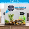 DaToo Aquarium Thermometer with Large LCD Display Fahrenheit/Celsius(℉/℃) Fish Tank
