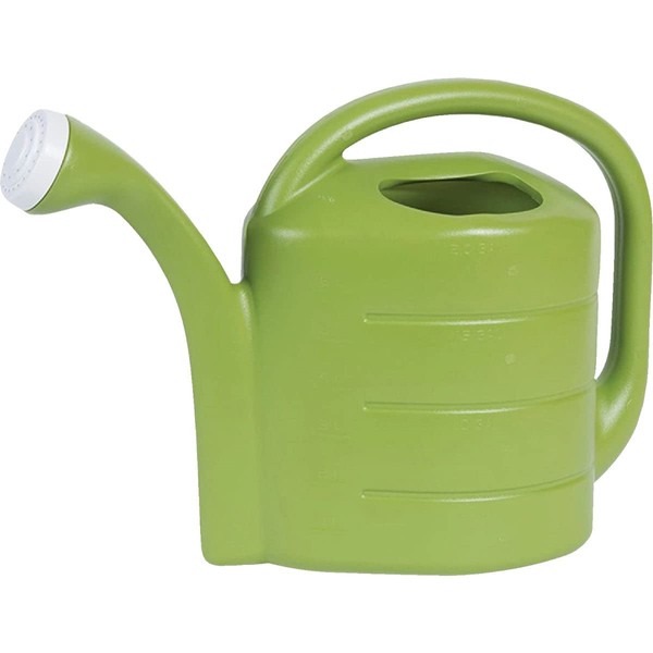 Novelty 30413 2 Gallon Deluxe Watering Can, Green