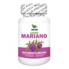 Cardo Mariano, 100 Cápsulas, Calidad Premium Sabor Natural