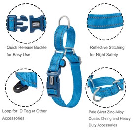YUDOTE Reflective Martingale Collar for Dogs with Quick Snap Buckle Anti-Pull Nylon Safe Slip Collars for Easy Walking,Blue,Large