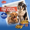 Doggo Dog Chew - Premium Yak Cheese Himalayan Dog Chews