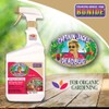 Bonide Captain Jack's Deadbug Brew Ready-to-Use Spray, 32 oz Outdoor