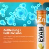 EVÄM Zinc Plus Vitamin C Effervescent Tablets, Lemon Flavour, 3