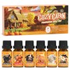Soulorigin Fall Cozy Cabin Fragrance Oils Set, Essential Oil for
