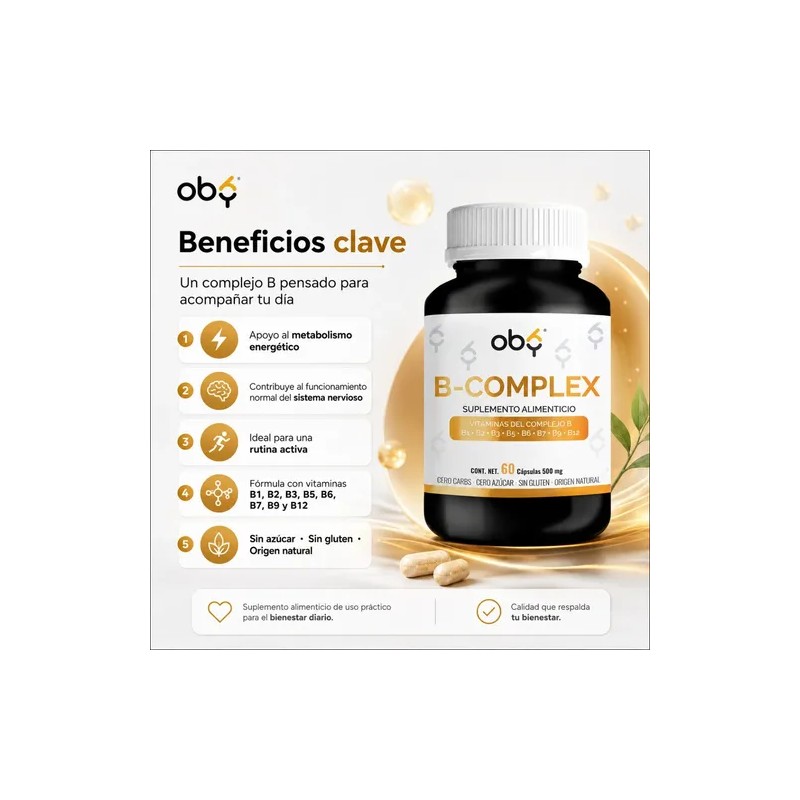 Complejo Vitaminas Grupo 500 Por Cápsula