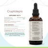 Cryptolepis A120 Alcohol Herbal Extract Tincture, Super-Concentrated Wildcrafted Cryptolepis (Cryptolepis