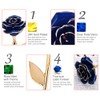 Ejoyous 24K Gold plated Romantic Rose Flower Valentine's Day Birthday
