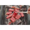 Barbecue Tongs 3072010