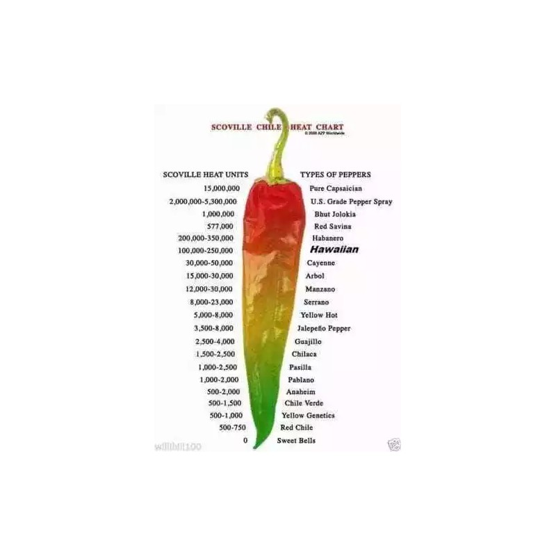 Lil Gnomies Hawaiian Chili Hot Pepper Seeds Birdseye - 15