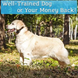 PetSpy Shock Collar for (2) Dogs-Waterproo