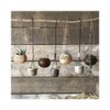 East of India: Boxed Rustic Planter - Black Wash