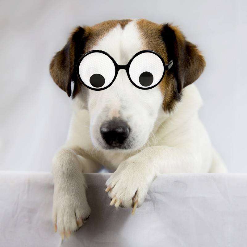 HOHAJIU Googly Eyes Glasses, Funny Glasses Pranks Toy, Novelty Shaking
