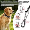 PUPTECK Chain Dog Leash Chew Proof, 2-in-1 Reflective with Soft