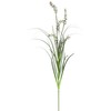 Vickerman TN171224 Everyday Grass Plant