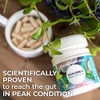 Alflorex Dual Action – Daily Gut Health Probiotics - Helps