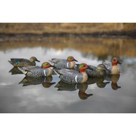 Green Wing Teal Duck Decoys by Heyday – Ultra-Light 100% HydroFoam | Durable, Realistic Design | 6 Pack of Duck Hunting Decoys