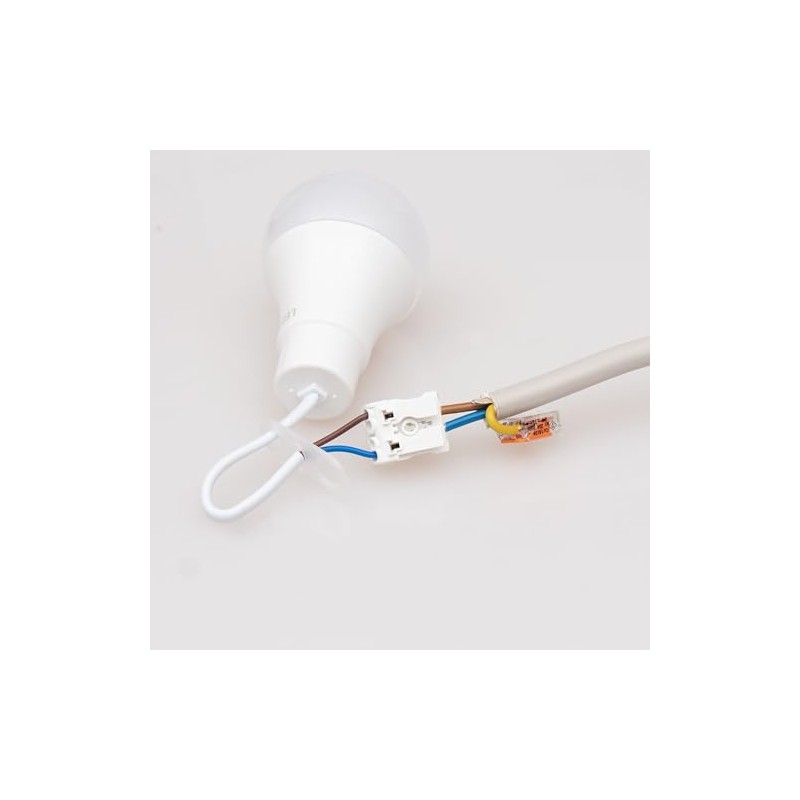 LED's light 2900062 Renovation Lamp with Plug-In Terminal 10 W