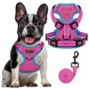 FAYOGOO Dog Harness Medium, No Pull Vest Harness with 2