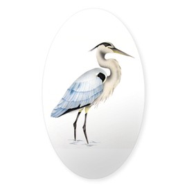 CafePress Great Blue Heron Oval Sticker Oval Car Bumper Sticker
